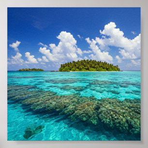 Poster Ilha Tropical e Coral Reef