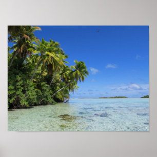 Poster Ilha tropical Rangiroa