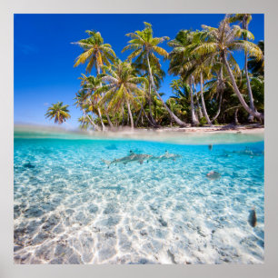Póster Ilha Tropical sob e acima da água