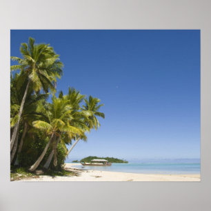 Póster Ilhas Cook, Aitutaki. Tour de canoa polinésia para