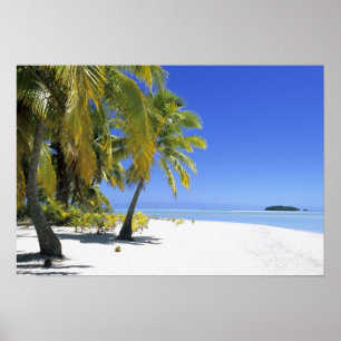 Poster Ilhas Cook de praia com Palm 2