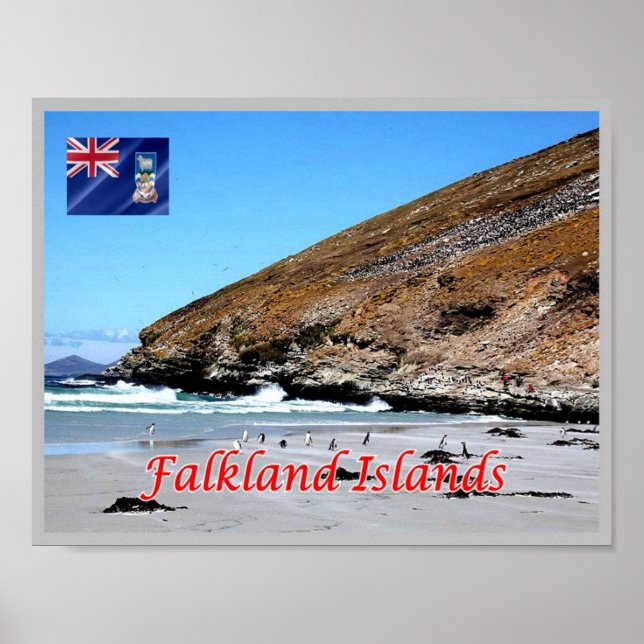 Poster Ilhas Falkland - (Frente)