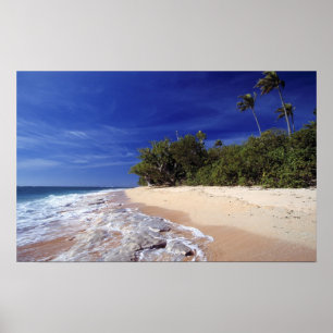 Póster Ilhas Fiji, Tavarua. Esta praia em Tavarua.