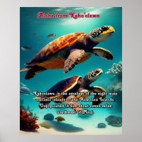 Ilhas Havaianas Kahoolawe Aloha