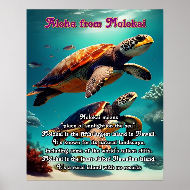 Poster Ilhas Havaianas Molokai Aloha (Frente)