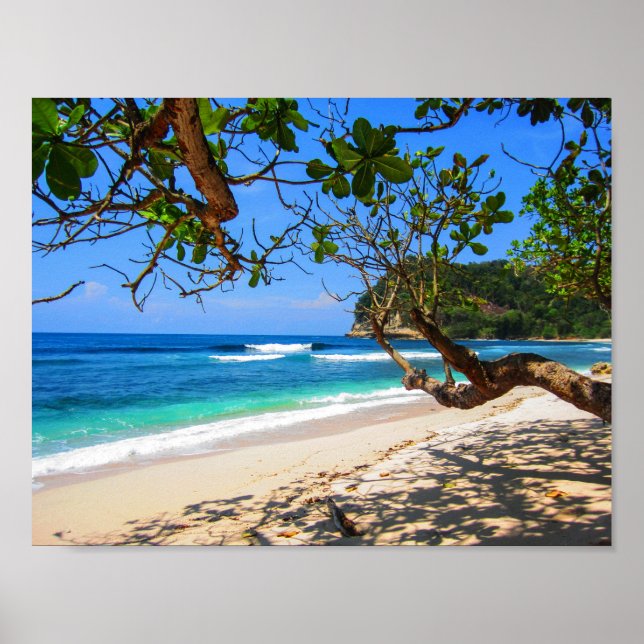 Poster Ilhas Maldivas por armazenista. (Frente)