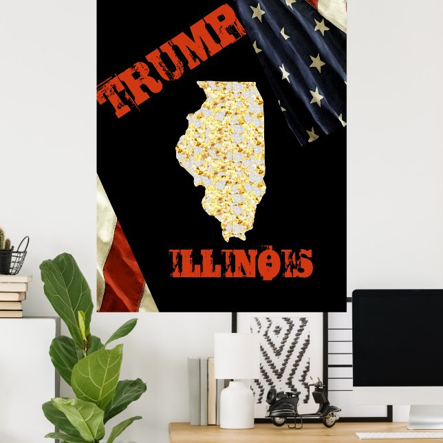 POSTER ILLINOIS  (Escritório em casa)