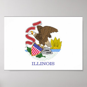 Póster Illinois Flag