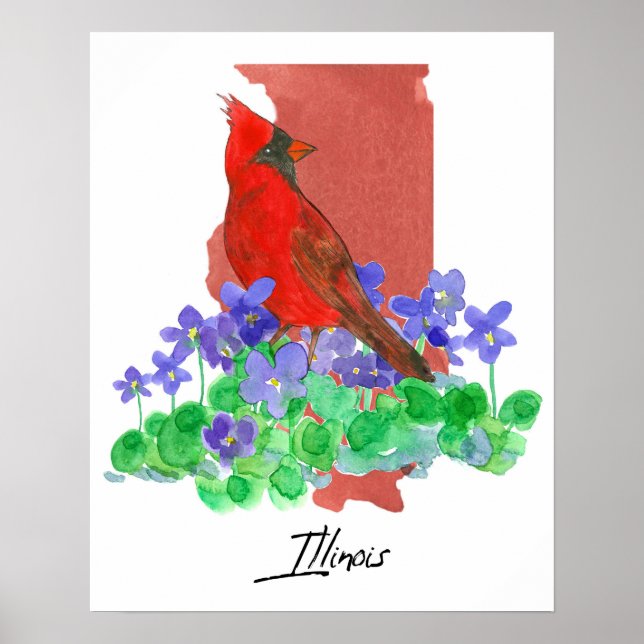 Poster Illinois State Shape Cardinal Purple Wood Violets (Frente)