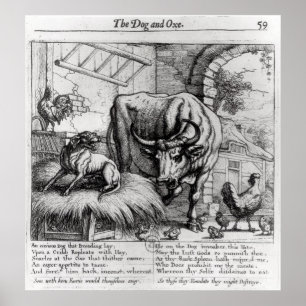 Poster Illustration for 'The Dog and the Ox'