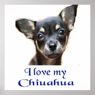 Póster Ilovemychiwawatee