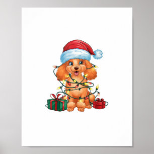 Poster Iluminação de Natal Chapéu do Papai Noel Poodle Cã