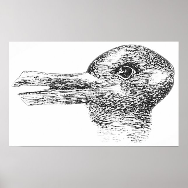 Poster Ilusão de coelho é um coelho ou é um pato (Frente)