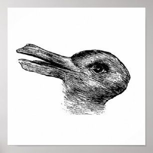 Poster ilusão de pato de coelho
