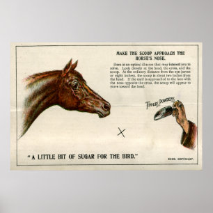 Póster Ilusão óptica 1896