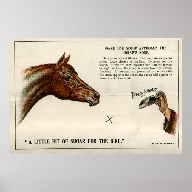 Póster Ilusão óptica 1896 (Frente)