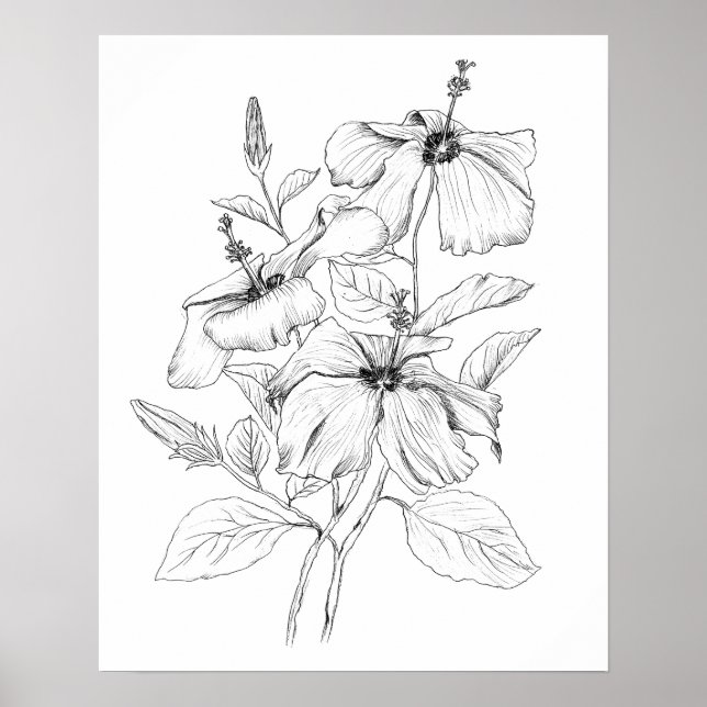 Poster ilustração a preto e branco da flor de hibisco (Frente)