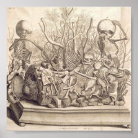 Ilustração Anatômica Vintage