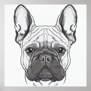 Poster Ilustração Animal Natural de Cão-Grande Francês