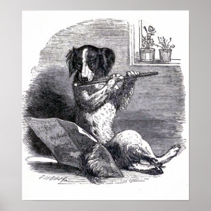 Póster "Ilustração Antiga de Cachorro Tocando Flauta"