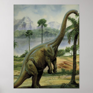 Póster Ilustração Ativa de Apatossauro (Brontosaurus)