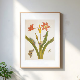 Poster Ilustração Botânica de Planta de Flor Vintage