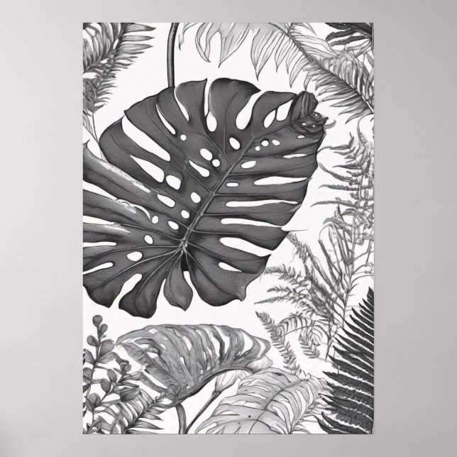 Poster Ilustração Botânica Monstera Planta de Samambaia P (Frente)