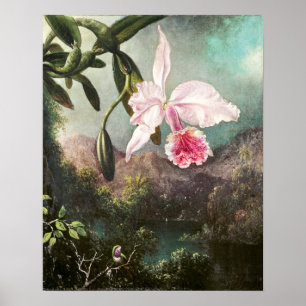 Poster Ilustração Botânica Vintage