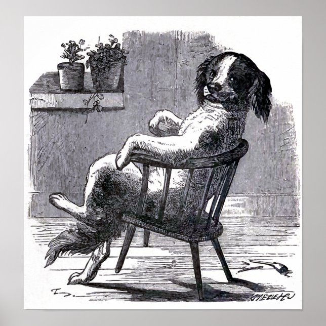 Póster Ilustração "Cachorro sentado numa cadeira" (Frente)