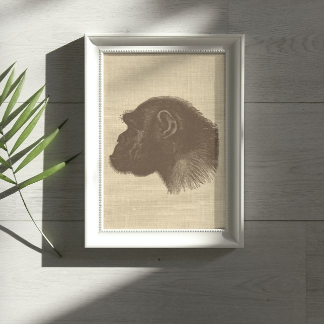 Poster Ilustração Chimpanzé Vintage em Burlap (Criador carregado)