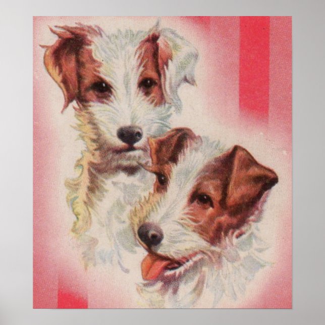 Póster ilustração CUTE Jack Russell terriers (Frente)