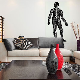 Poster Ilustração da Anatomia do Sistema Nervoso Humano