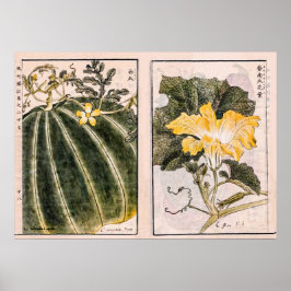 Poster Ilustração da colheita de abóbora, folhas e flores