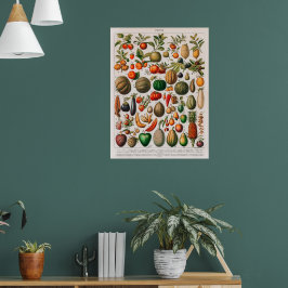 Poster Ilustração da colheita de frutas e produtos hortíc