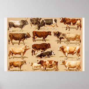 Póster Ilustração da fazenda das vacas de leiteria de