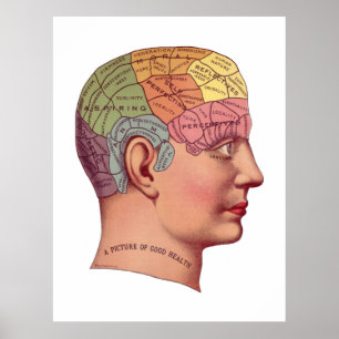 Póster Ilustração da função do cérebro do vintage