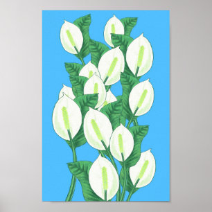 Poster Ilustração da Peace Lily