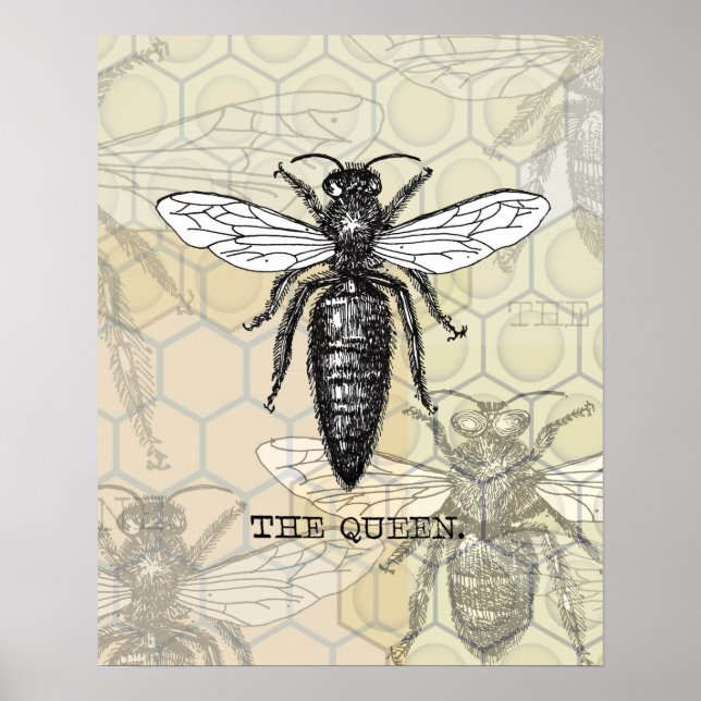 Poster Ilustração de Abelha Rainha Inseto Bug (Frente)