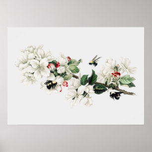 Poster Ilustração de Abelhas Vintage