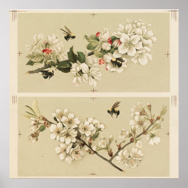 Poster Ilustração de Abelhas Vintage (Frente)