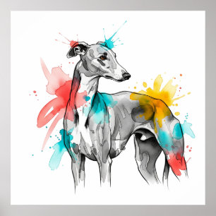 Poster Ilustração de abertura de Tinta de Água do Greyhou