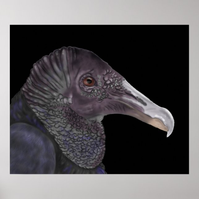 Poster Ilustração de abutre preto (Frente)