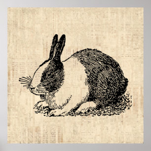 Poster Ilustração De Arte Animal De Coelho Bonito Vinta