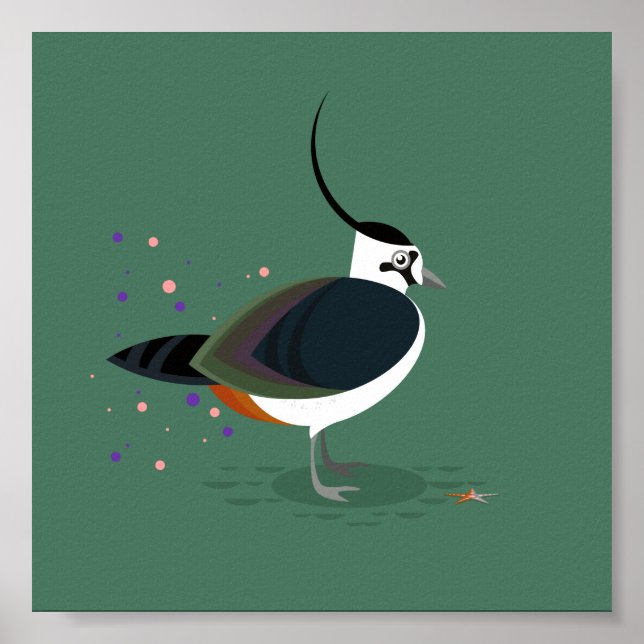 Poster Ilustração de aves - Laping (Frente)