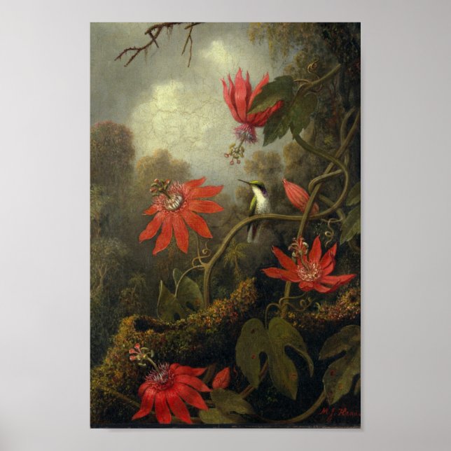 Poster Ilustração de Aves Vintage (Frente)