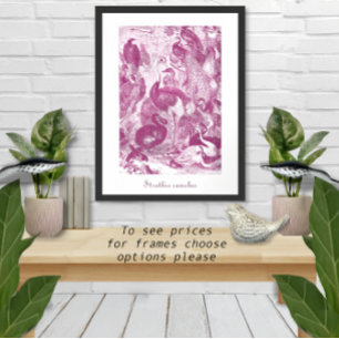 Póster Ilustração de avestruz Plum Vintage Struthio camel