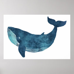 Poster Ilustração de Baleia Azul