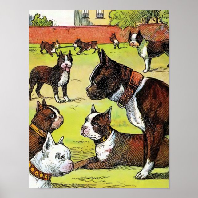 Poster Ilustração de Boston Terrier e Puppies Vintage (Frente)