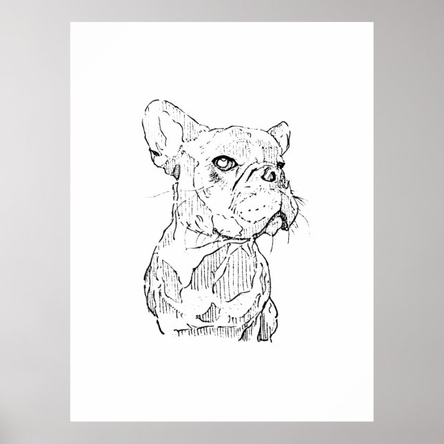 Poster Ilustração de Bulldog Francês, Personalizada (Frente)