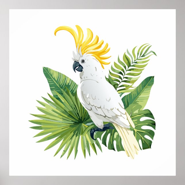 Poster Ilustração de cacatua papagaio (Frente)